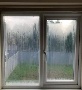 Condensation Removal Services