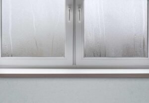 Condensation Removal Services