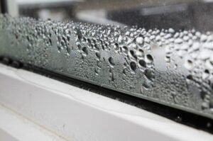 Condensation Removal Services
